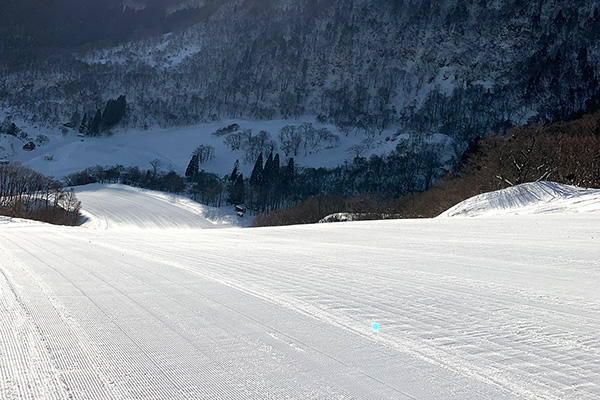 氷ノ山国際スキー場