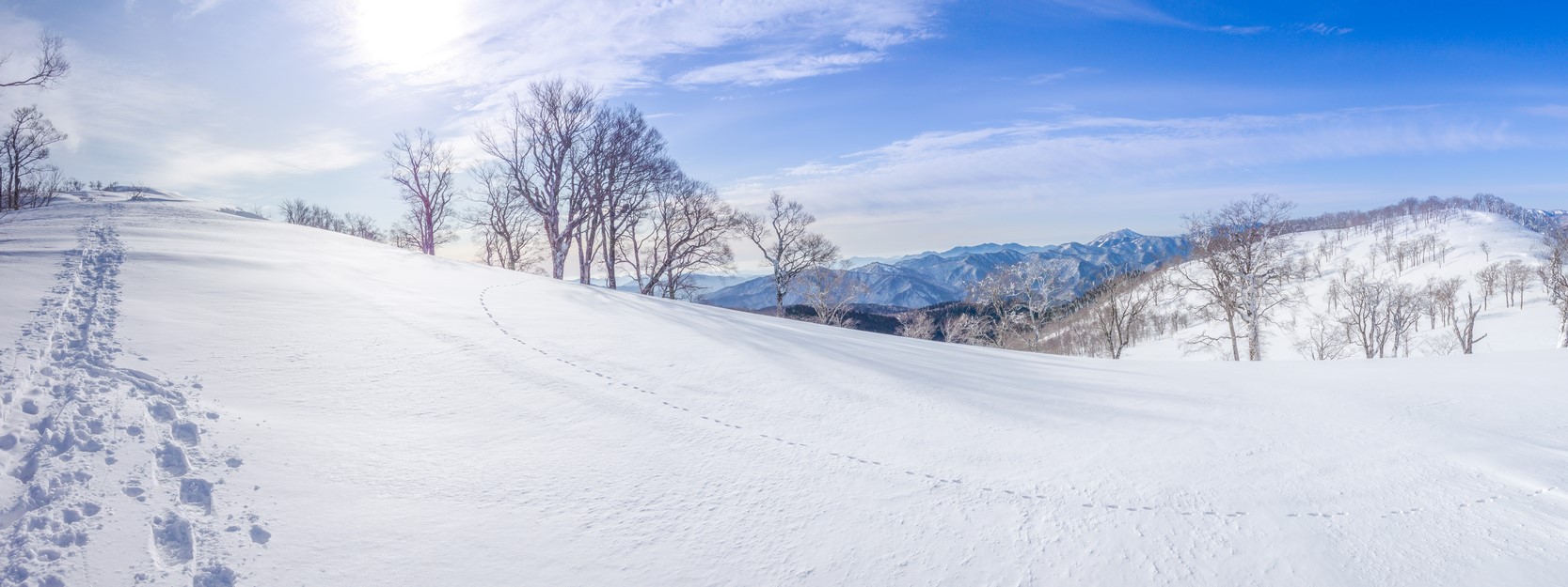 わかさ氷ノ山スキー場