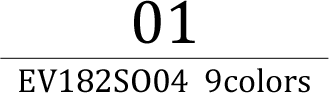 メンズ説明文