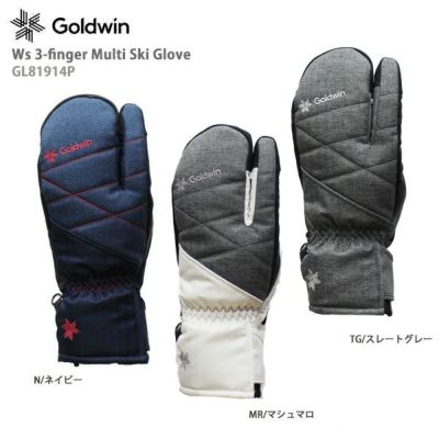 絶対一番安い グローブ 旧モデル 19 Gp Glove Gtx ゴールドウイン Goldwin スキーグローブ 型落ち 手袋 スノーボード スキー Ericamather Com