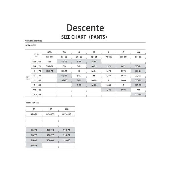 スキー ウェア メンズ レディース DESCENTE〔デサント