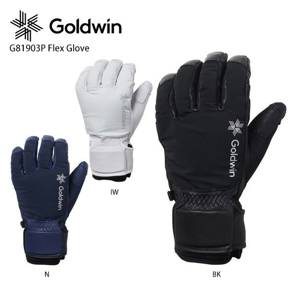 ゴールドウィン(GOLDWIN) スキーグローブ レザーグローブ 5本指