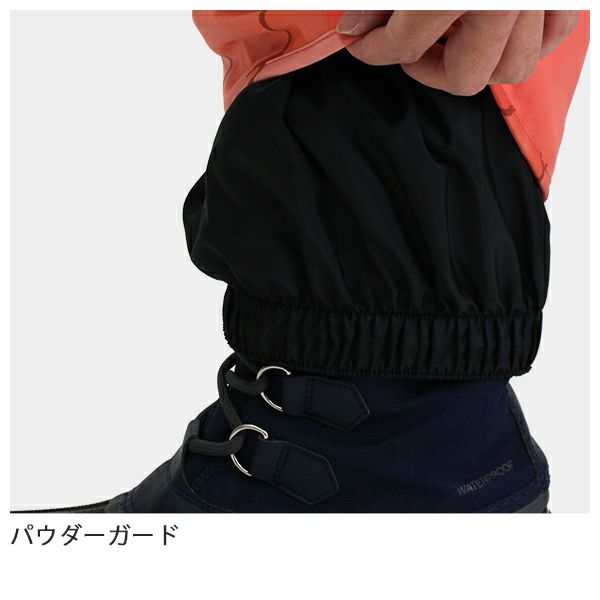 スキー ウェア メンズ レディース PHENIX〔フェニックス パンツ〕＜2021＞PFA72OB11 Demo Team Pro 3-D Pants〔デモチーム  プロ 3-Dパンツ〕【特殊サイズ】【20-21 旧モデル】 | スキー用品通販ショップ - タナベスポーツ