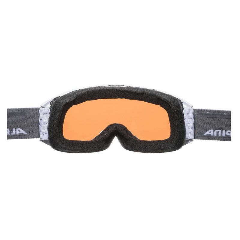 アルピナ ゴーグル ALPINA NAKISKA ブラック　スキー　スノボ アルピナ ゴーグル ALPINA NAKISKA ブラック スキー スノボ 【公式通販】