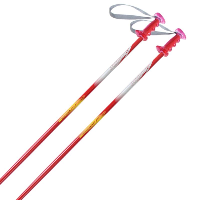 SWALLOW スワロー スキー ポール・ストック ジュニア キッズ＜2022