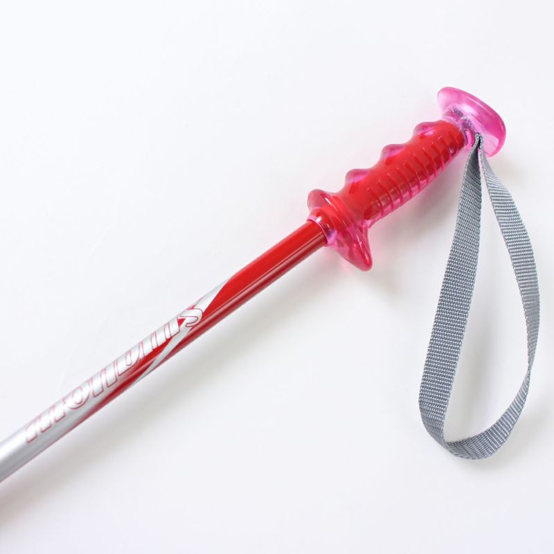 SWALLOW スワロー スキー ポール・ストック ジュニア キッズ＜2022