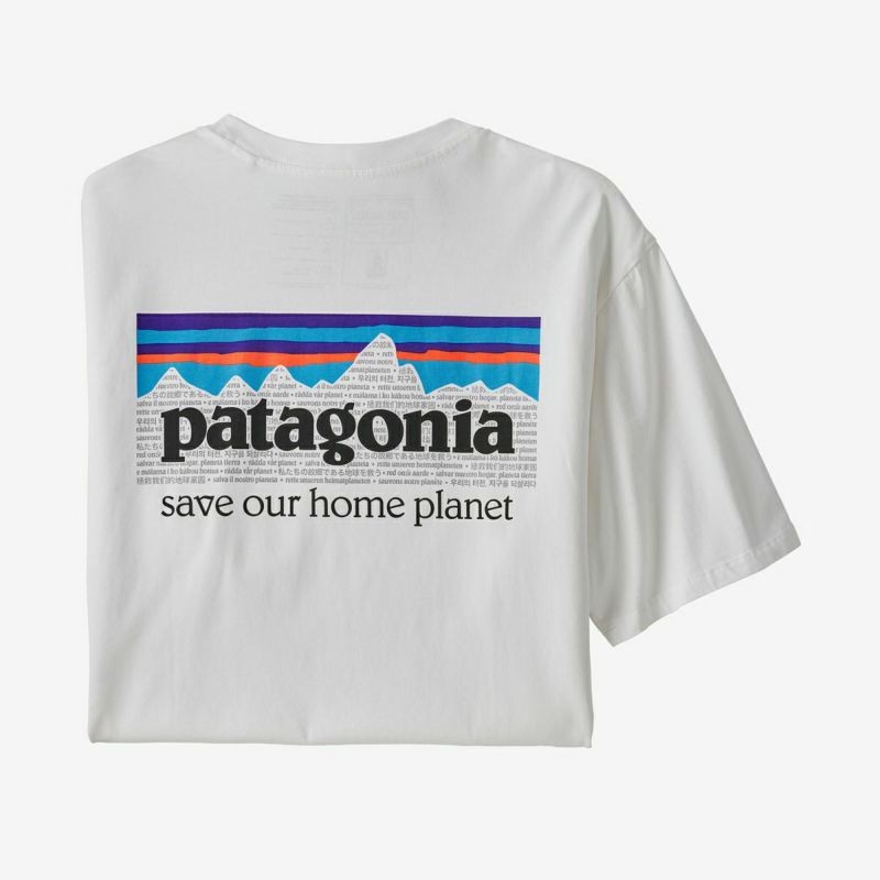 PATAGONIA〔パタゴニア Tシャツ〕＜2022＞ 37529 / MS P-6