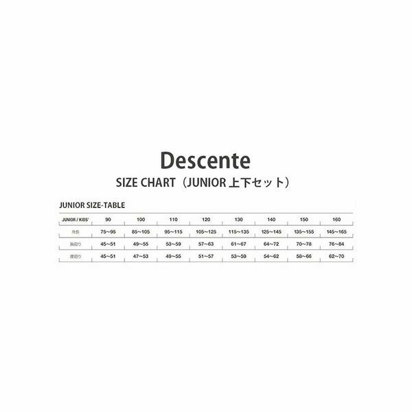 スキーウェア キッズ スノーウェア ジュニア デサント DESCENTE 上下