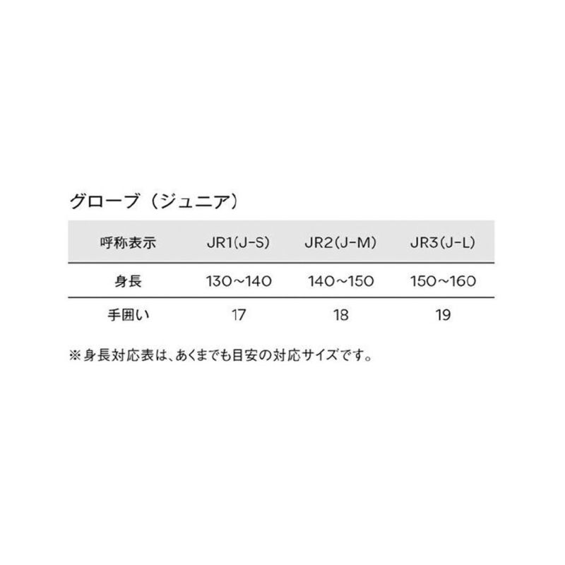 スキー グローブ キッズ ジュニア GOLDWIN ゴールドウイン ＜2023