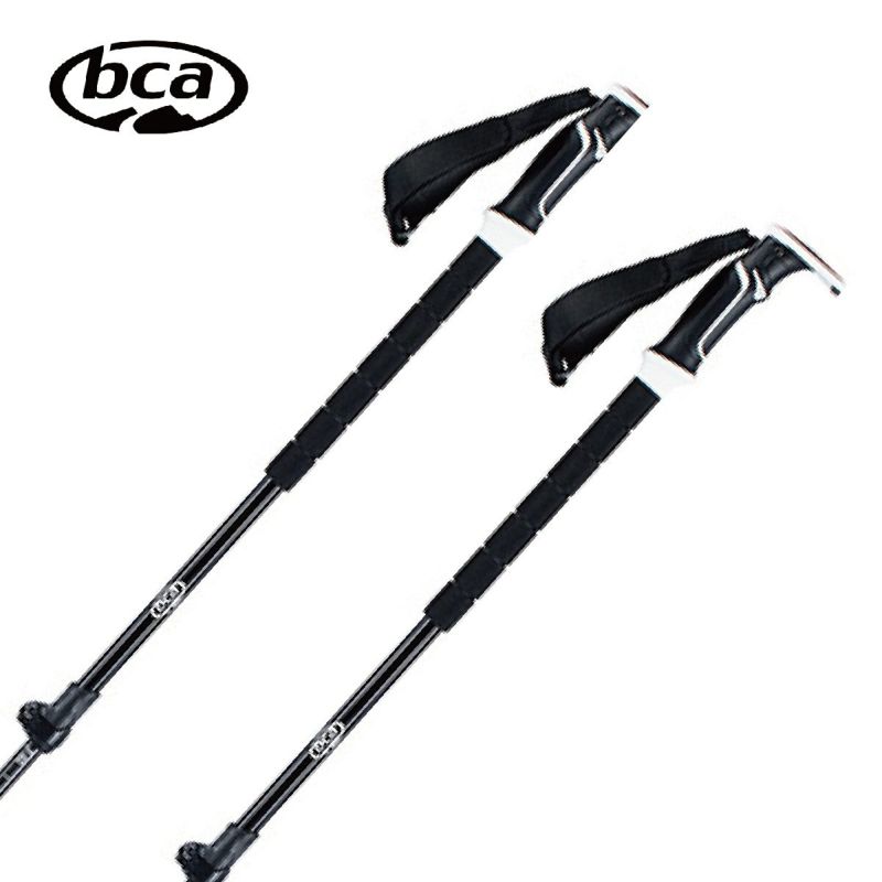 BCA r[V[G[ XgbN / Lk 2026 C2005006010 / SCEPTER ADJUSTABLE CARBON