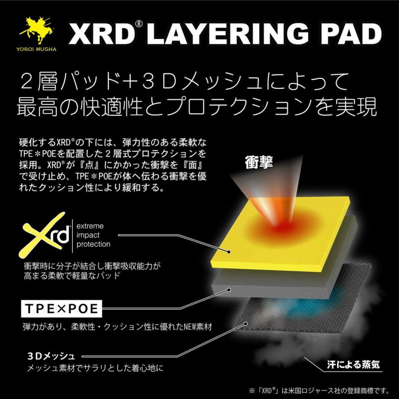 鎧武者〔ボディプロテクター〕＜2022＞PROTECTOR VEST/ YM-1746 なら