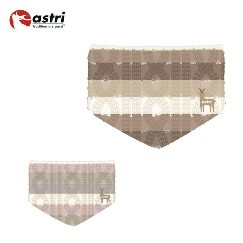 ASTRI AXg XL[ lbNEH[}[ LbY WjA2024 ASK19C / LbY{[_[lbNEH[}[
