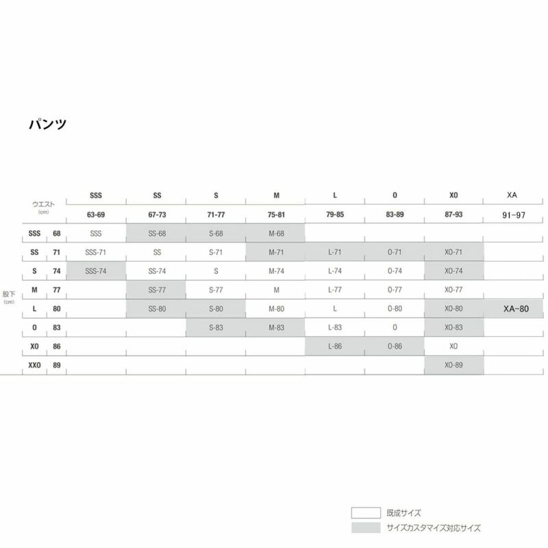 スキーウェア スキーパンツ デサント パンツ DESCENTE メンズ