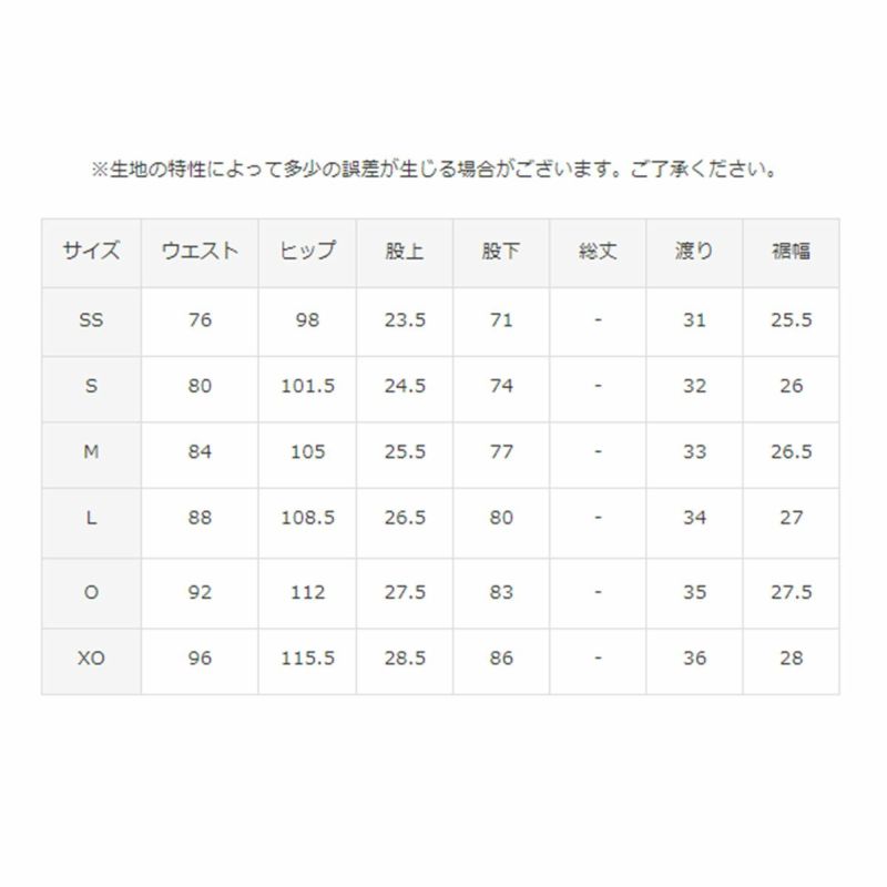 スキーウェア スキーパンツ デサント パンツ DESCENTE メンズ
