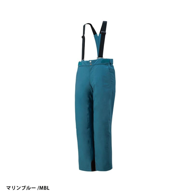 スキーウェア スキーパンツ デサント パンツ DESCENTE メンズ