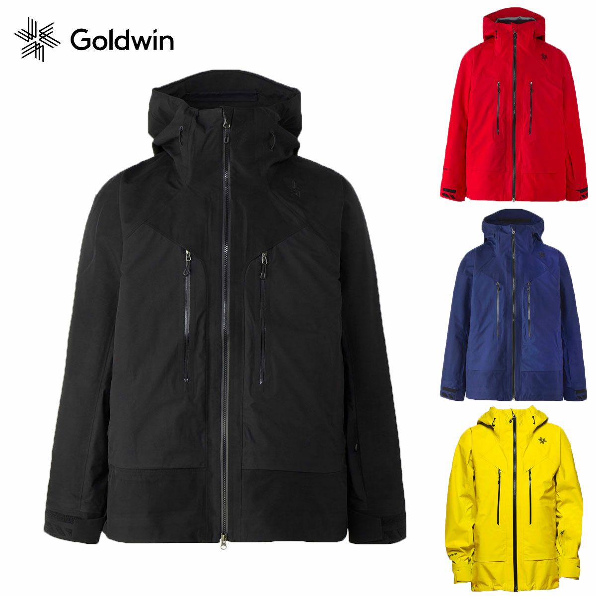 GOLDWIN GORE-TEX けす 定価15万円 国内限定5着モデル スキーウェア