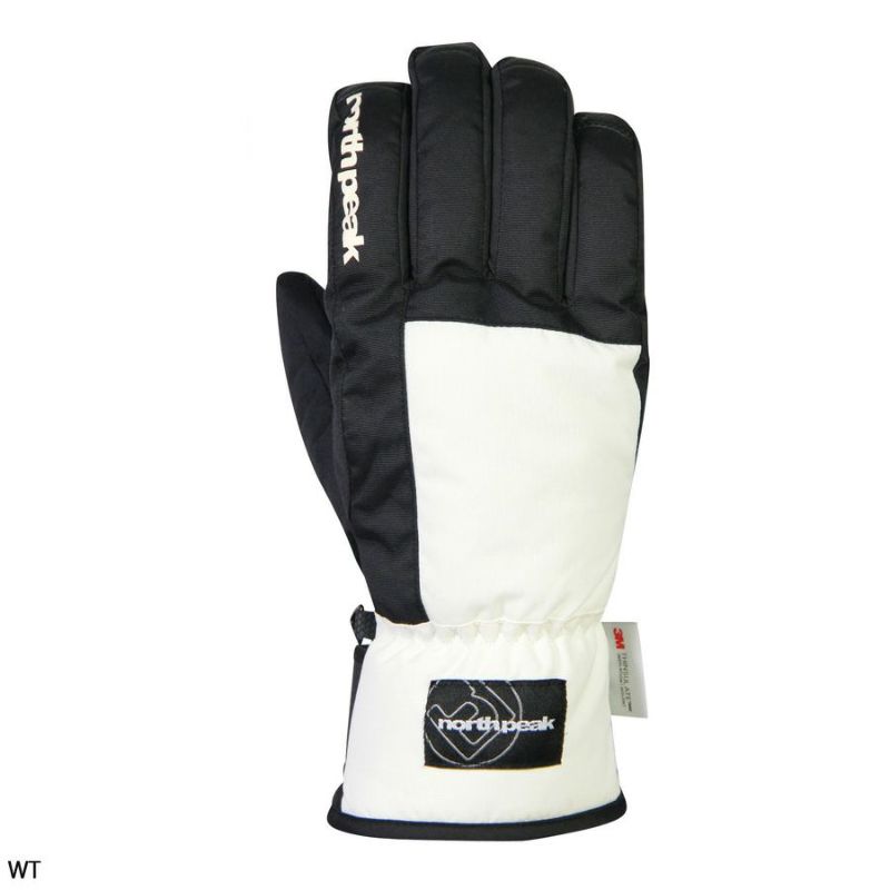 ノースピーク north peak スキー スノーボード スノボ グローブ GLOVE