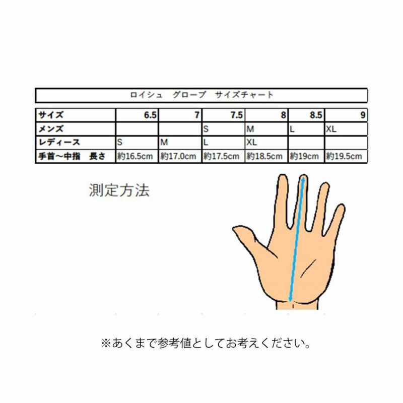 REUSCH ロイシュ スキー グローブ メンズ レディース＜2025