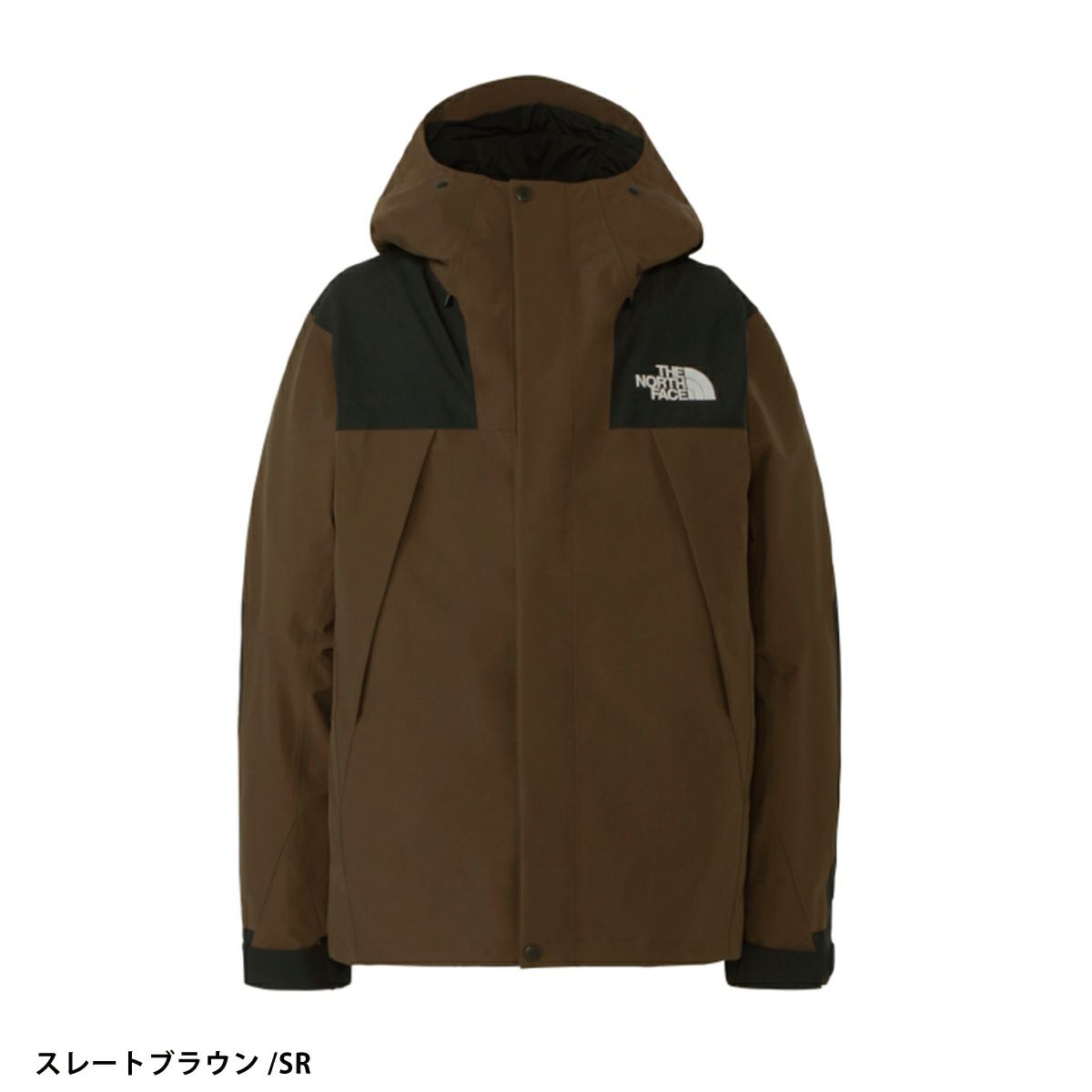 スキーウェア メンズ スキージャケット THE NORTH FACE ザ・ノース 
