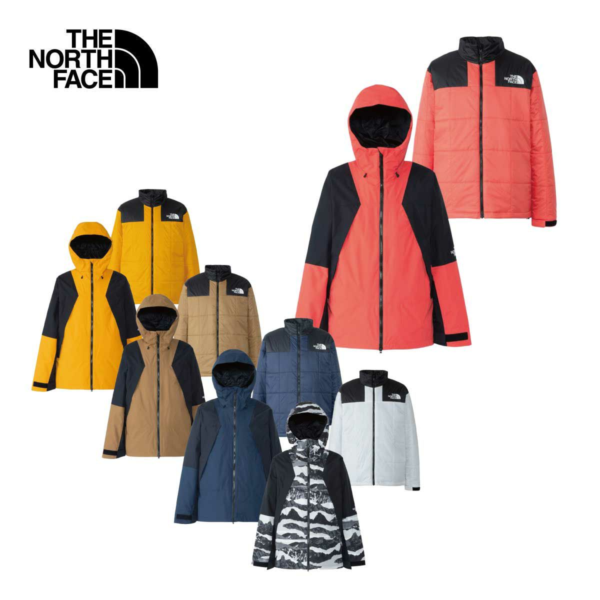 スキーウェア メンズ スキージャケット THE NORTH FACE ザ・ノース 