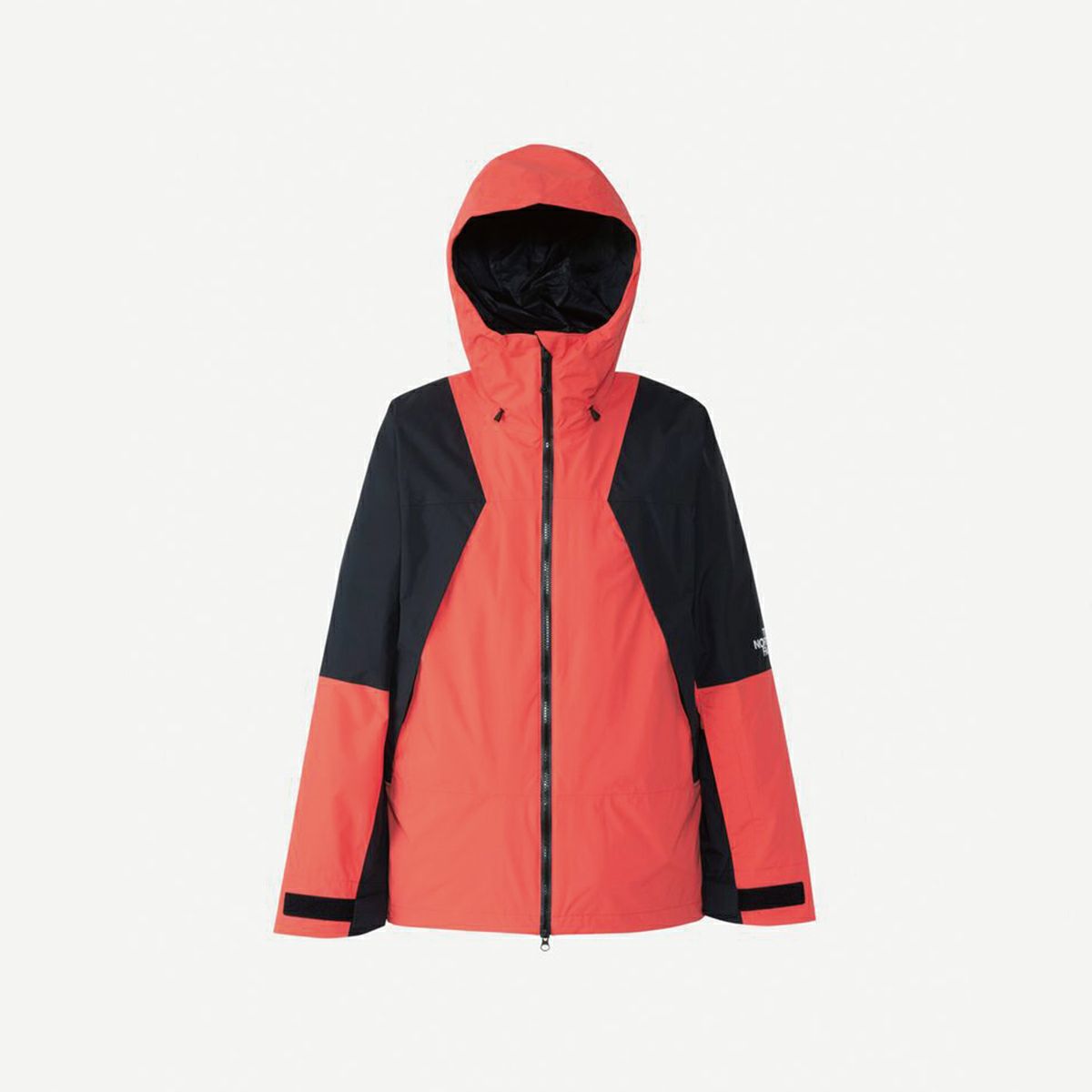 スキーウェア メンズ スキージャケット THE NORTH FACE ザ・ノース  