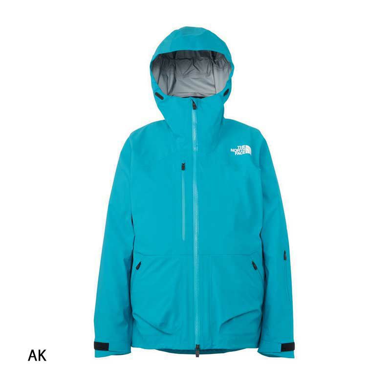 スキーウェア メンズ スキージャケット THE NORTH FACE ザ・ノース