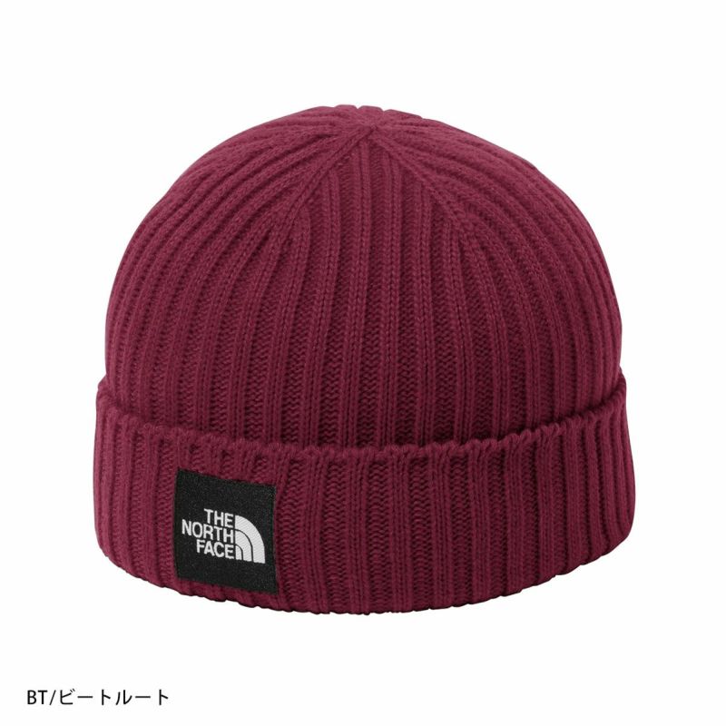 THE NORTH FACE ザ・ノース・フェイス スキー ニット帽 メンズ