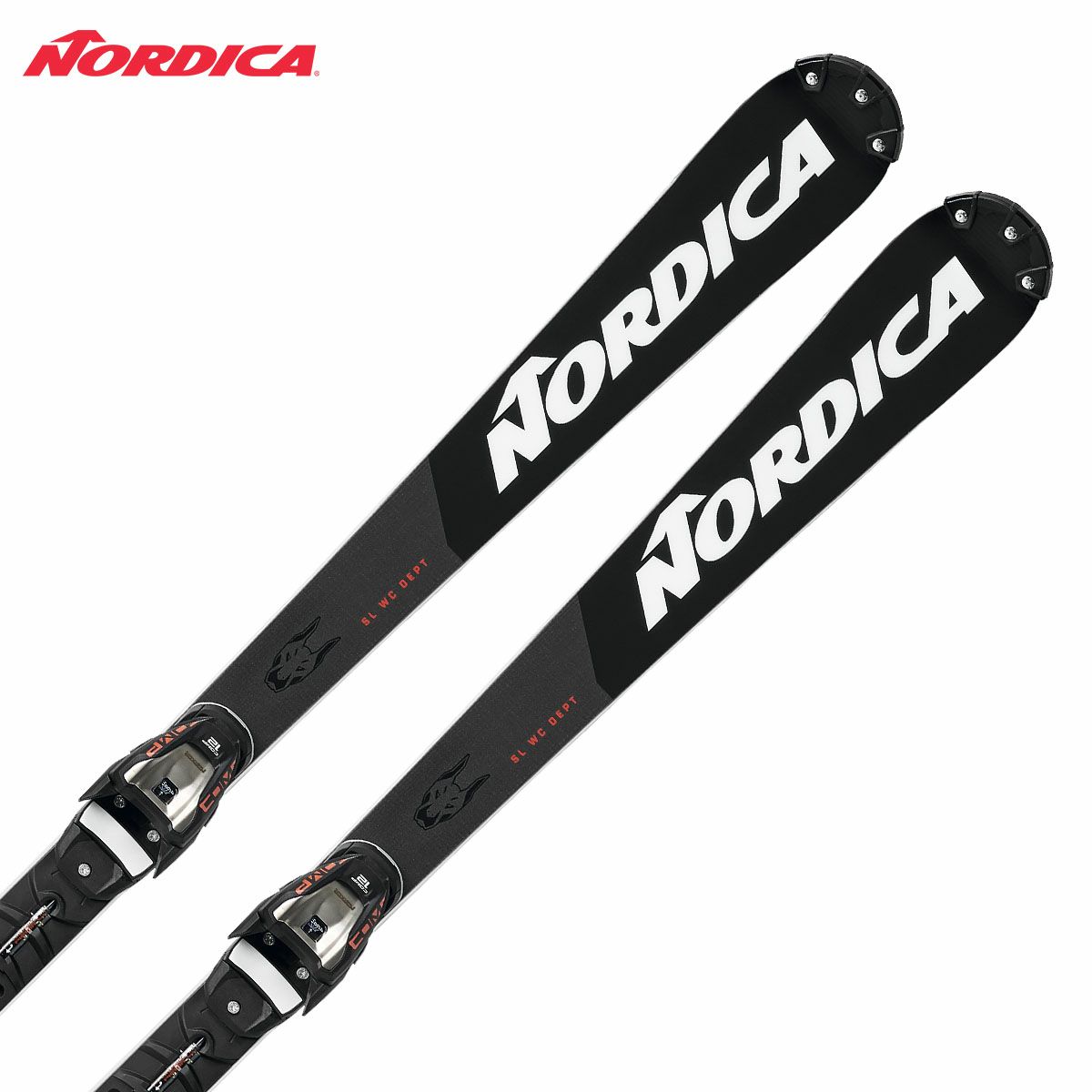 ノルディカ とどい ドーベルマン GS WC 183 Nordica Dobermann