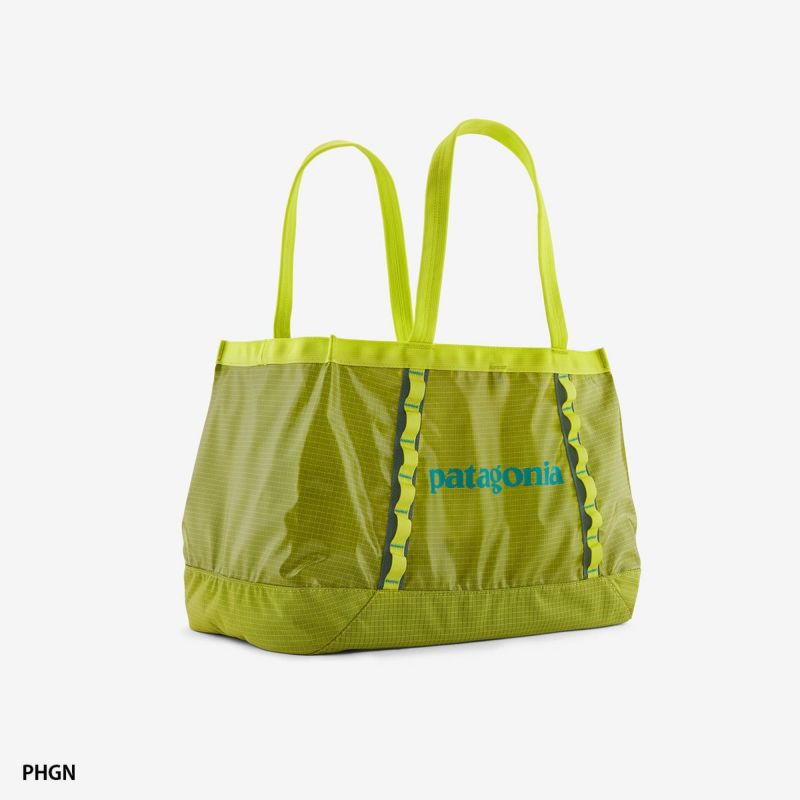 パタゴニア patagonia トート　バッグ ブラックホール 25L　グリーン パタゴニア】ブラックホール・トート 25L 【カラー：Pine Needle
