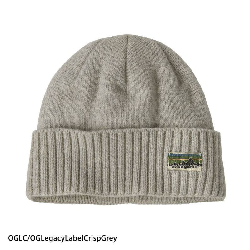 PATAGONIA パタゴニア スキーニット帽 メンズ レディース＜2026＞29206