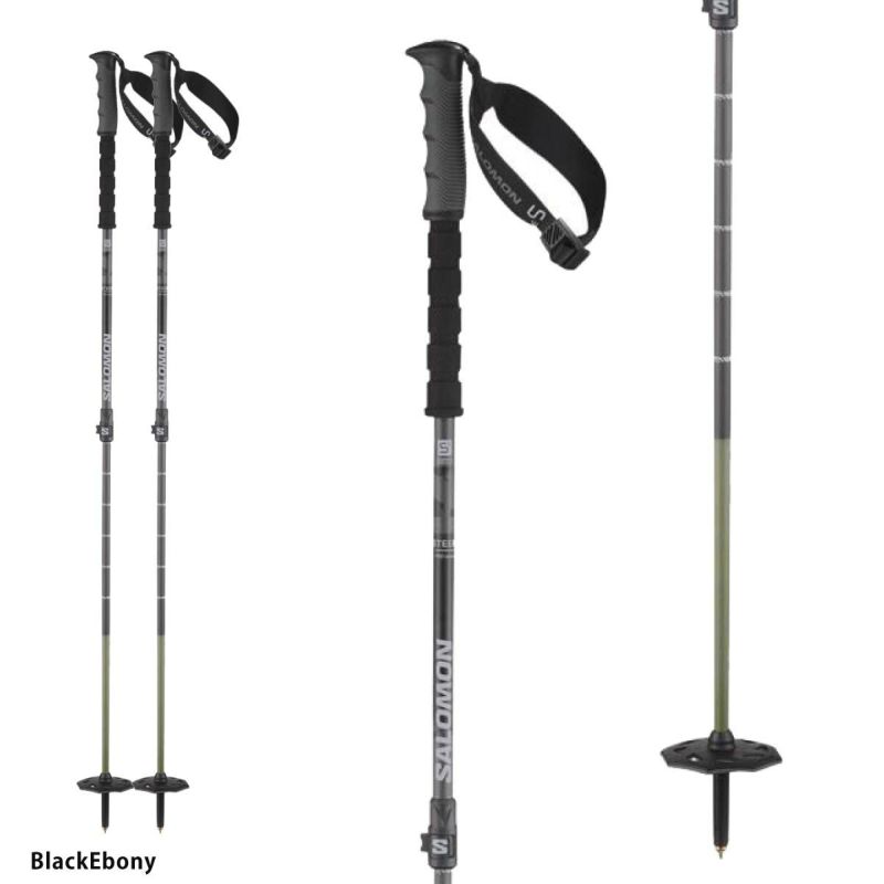 SALOMON サロモン スキーポール ストック メンズ レディース