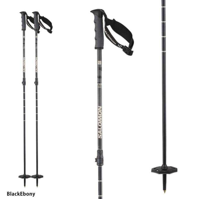 サロモン　salomon S/RACE ポール　ストック　カーボン製　115cm サロモン salomon S/RACE ポール ストック カーボン製 115cm