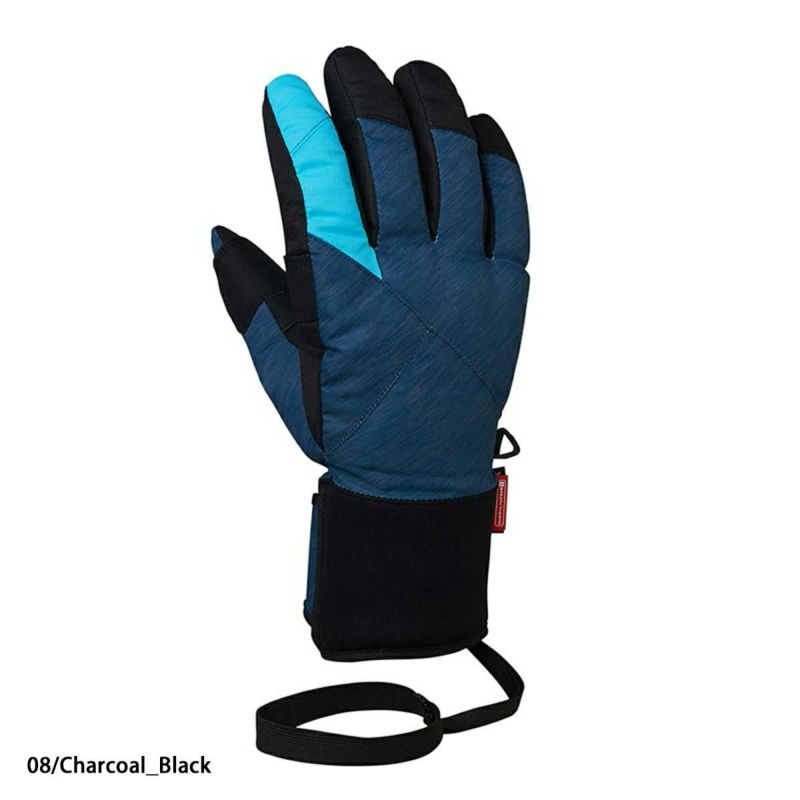 Mizuno GORE-TEX スキーグローブ Z2JY9502 Mizuno GORE-TEX スキー