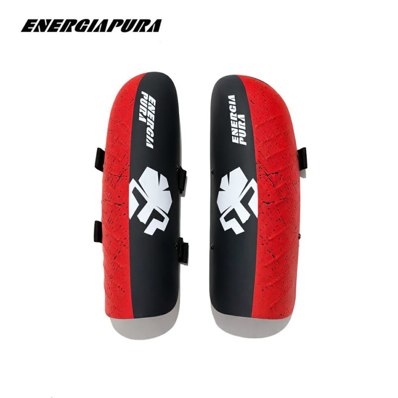 ENERGIAPURA �G�i�W�[�A�v�� �X�L�[ �A�[���K�[�h  ��2026����׽����ݶް��