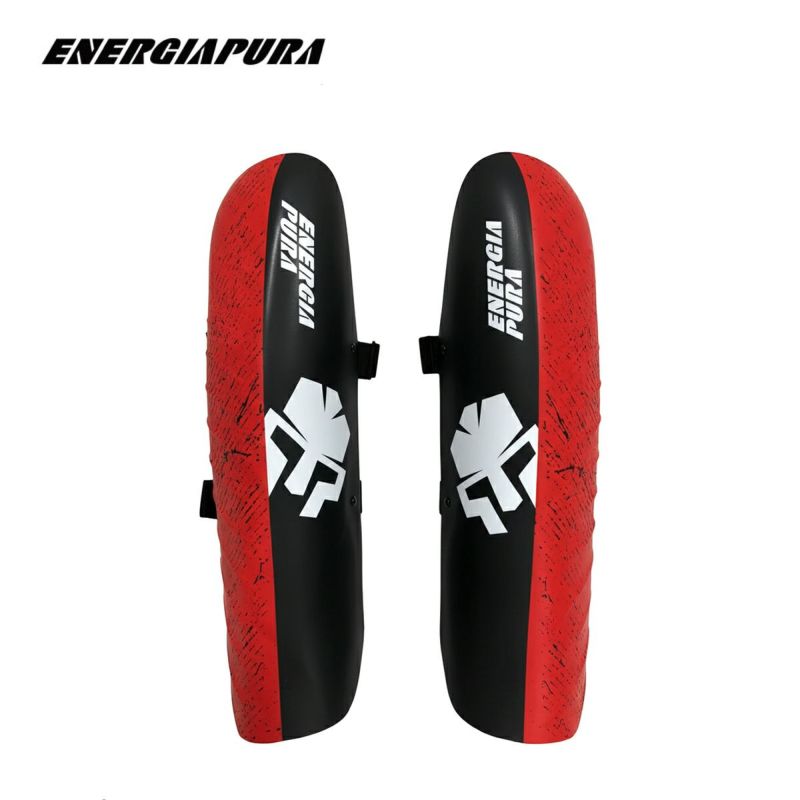 ENERGIAPURA �G�i�W�[�A�v�� �X�L�[ �A�[���K�[�h ��2026����׽����ݶް��